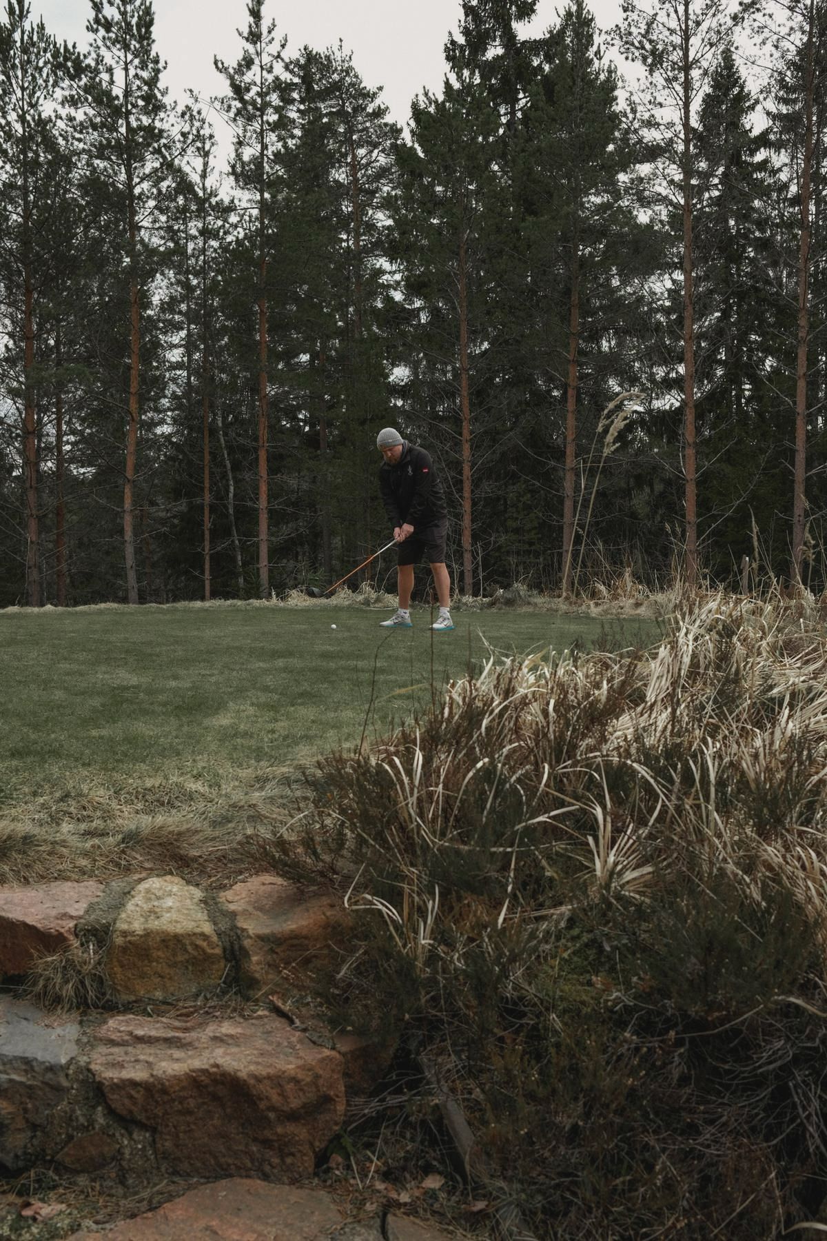 Golfer chipping on a green framed by pines
