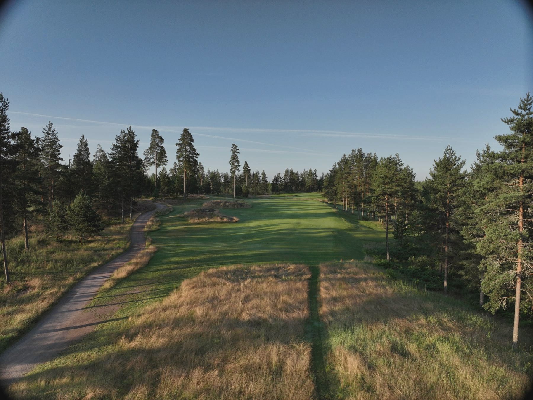 Fairway framed by pines in morning light