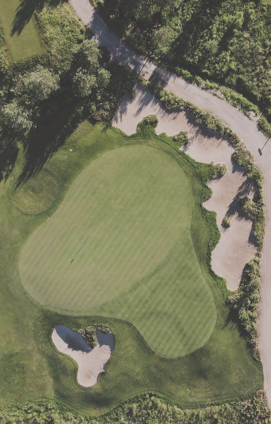 Green and bunkers seen straight from above