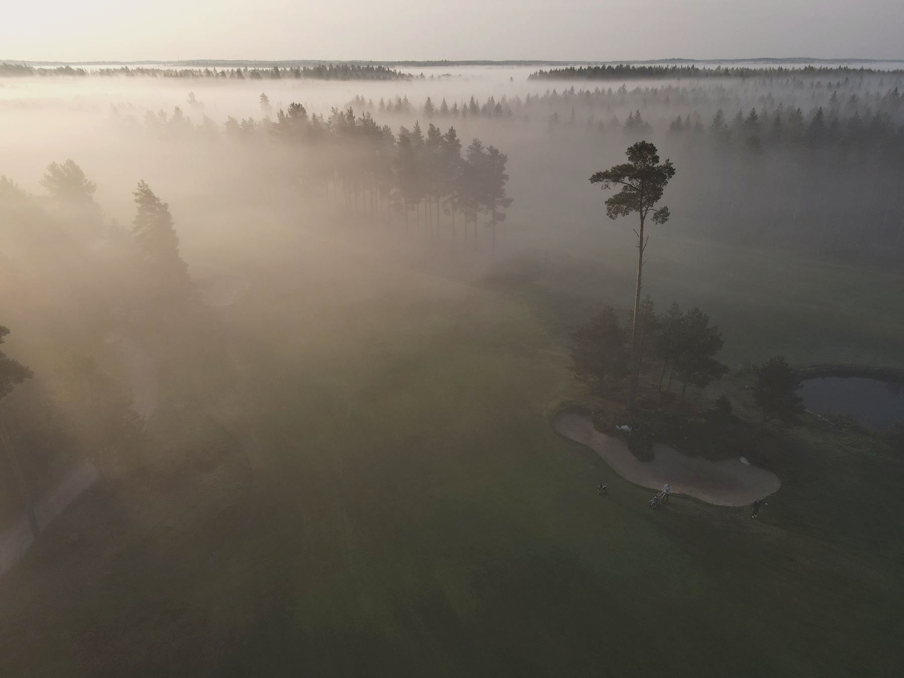Fog blanket over the fairways