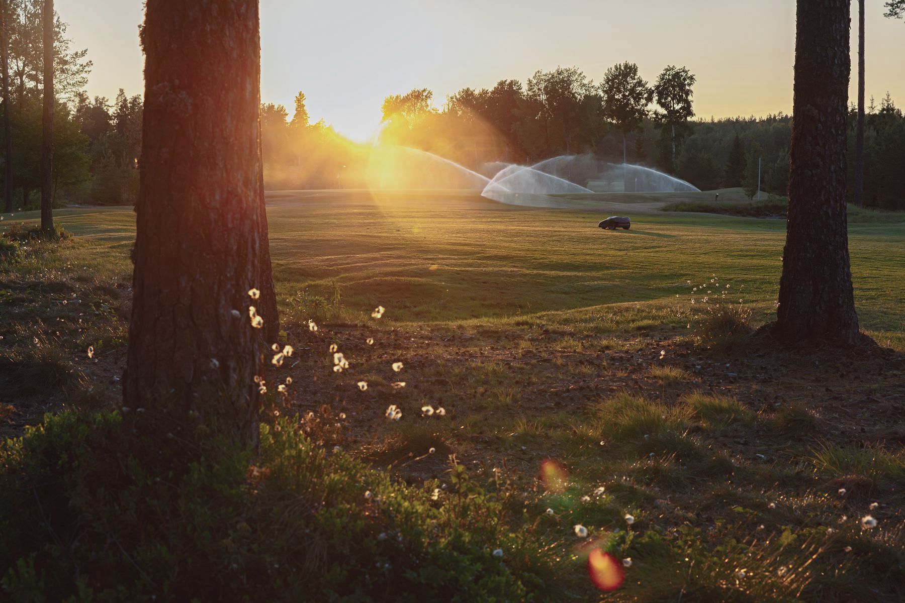 Sprinklers and a robot mower at sunset