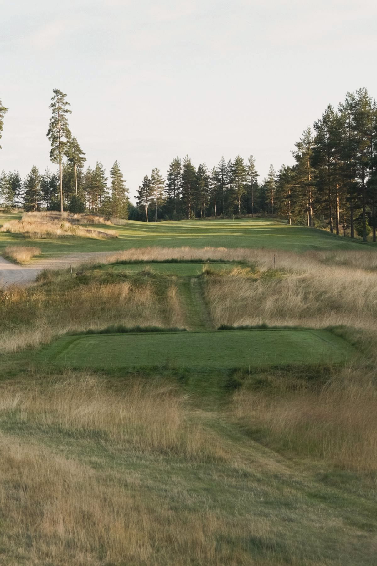 Uphill green framed by rough